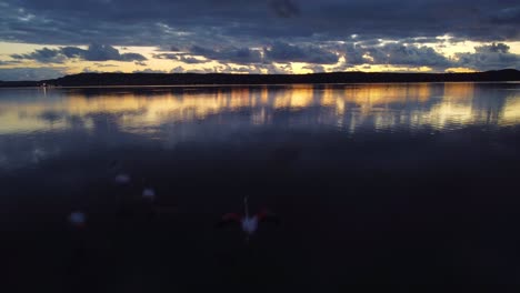 Majestätische-Luftaufnahme-Des-Ruhigen-Meerwassers-Mit-Flamingos-Auf-Sardinien