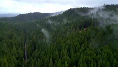 Clouds-of-vapor-rising-above-dense-hilly-humid-evergreen-forest-trees