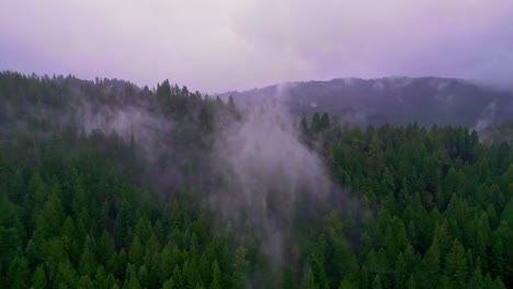 Drone-Aéreo-Disparado-Sobre-Copas-De-árboles-Con-Niebla-De-Montaña-Que-Cubre-El-Monumento-Nacional-De-Muir-Woods,-California,-Estados-Unidos-En-Un-Día-Nublado