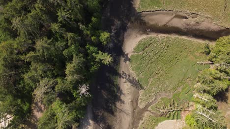 Draufsicht-über-Grüne-Waldbäume-Und-Einen-Sandigen-Fluss-Auf-Der-Insel-Moresby-In-Kanada