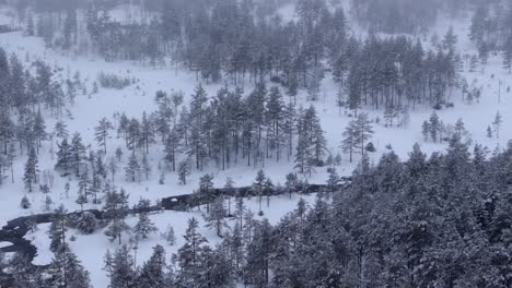 Drone-clip-above-snowy-foggy-forest-vol-1