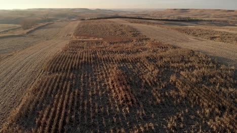 Luftaufnahme-Von-Milo-Field-In-Der-Nähe-Von-Dallas-In-South-Dakota