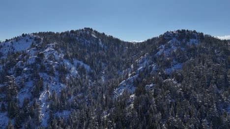 Winter-forest-with-snowy-trees-and-mountain-aerial-view