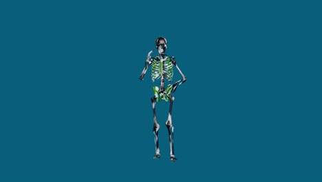 Esqueleto-Hablando-Por-Celular-