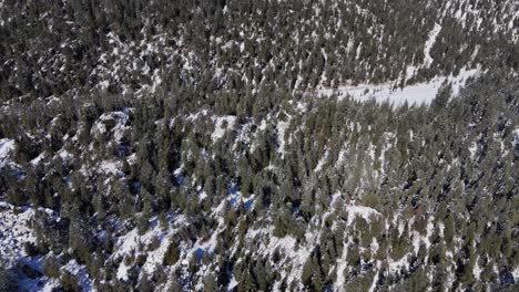 Aerial-view-with-frozen-river,-trees-covered-with-white-snow
