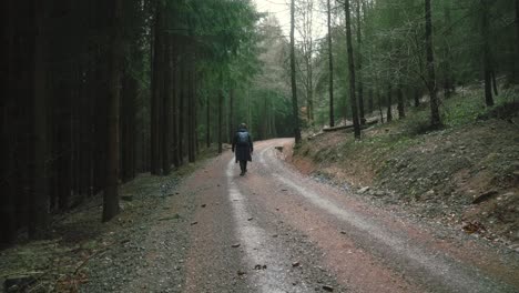 Un-Hombre-Con-Una-Mochila-Camina-Por-Un-Sendero-Forestal-En-Un-Clima-Sombrío