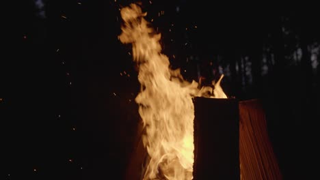 Lagerfeuer-Im-Wald-Bei-Nacht