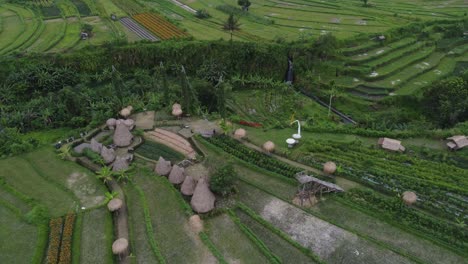 Traditional-glamping-huts-amid-paddy-fields-and-tropical-nature,-Aerial
