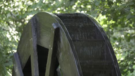 close-up-on-turning-watermill-water-wooden-in-green-environment-static