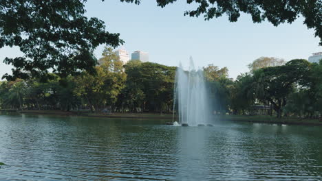 See-Im-Grünen-Park-Naturlandschaft-Lumpini-öffentlicher-Park-Bangkok-Prores