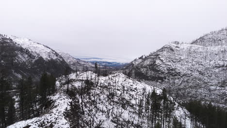 Ein-Wintergeflüster:-Schnee-Bedeckt-Die-Hügel