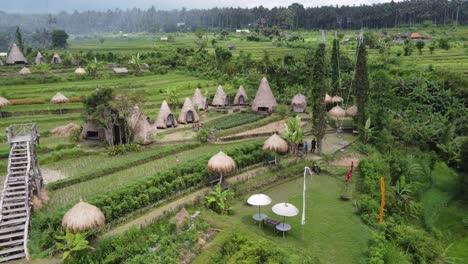 Thatched-huts-on-glamping-camp-amid-green-fields-at-Maha-Gangga-valley-tourist-accommodation