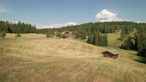 Drone-glides-low-over-grassy-land,-unpaved-road,-and-grazing-brown-horses-on-a-sunny-day