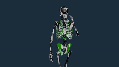 Esqueleto-Caminando-Y-Hablando-Por-Celular-
