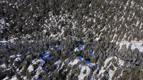 Aerial-view-with-frozen-river,-trees-covered-with-white-snow