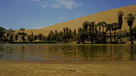 Huacachina-Oasis-Lake-with-Low-Angle-Overlooking-Palm-Trees-and-Sand-Dunes-in-the-Background