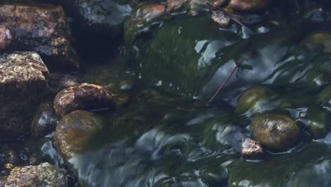 Wasser-Fließt-über-Felsen-In-Einem-Bach-Im-Boise-National-Forest---Nahaufnahme