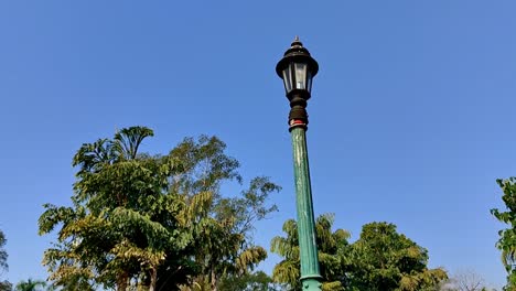 Old-style-electric-streetlight-lamp-in-public-parkland-low-angle-view