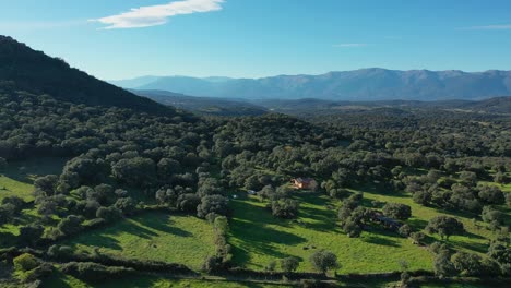 Flug-In-Einem-Tal,-Das-Eine-Kurve-Macht-Und-Einen-Wald-Aus-Eichen-Und-Wacholder-Mit-Grünen-Wiesen-Und-Häusern-Und-Viehfarmen-Mit-Bergen-Im-Hintergrund-An-Einem-Herbstnachmittag-In-Avila,-Spanien,-Visualisiert