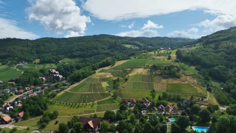 Aerial-view-of-german-village-in-Blackforest-on-hillside-with-dense-forest,-lush-fields,-hills-and-a-paraglider-soaring-high