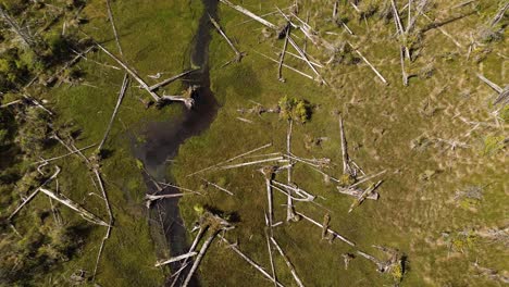 Top-Down-View-Over-Deforestation-and-Stream-on-Moresby-Island-with-an-Aerial-Drone-Pedestal-View