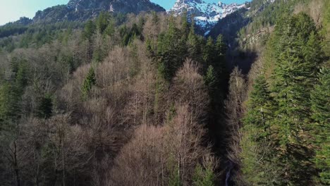 Drohne-Fliegt-über-Bäume-Und-Zeigt-Schneebedeckte-Berglandschaft-Im-Hintergrund