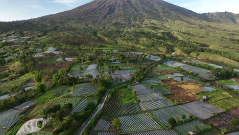 Views-over-the-rice-fields-and-Mount-Rinjani-at-Sembalun-on-Lombok,-Indonesia