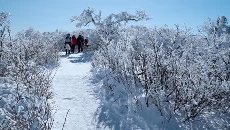 Grupo-De-Excursionistas-Caminando-En-La-Cumbre-De-La-Montaña-Balwangsan