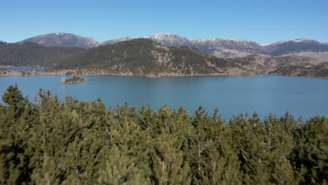 Drohne-über-Nadelbäumen-Enthüllt-Den-Aoos-Frühlingssee-Epirus-Griechenland