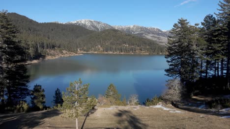 Drohne-Fliegt-Durch-Bäume-Und-Enthüllt-Einen-Sonnigen-Wintertag-Am-Bergsee