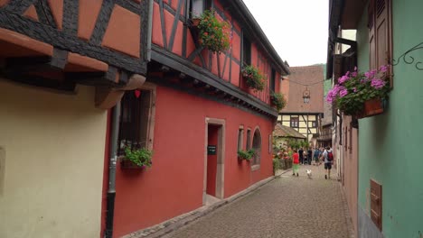 As-soon-as-you-enter-Kaysersberg-you-fnd-the-nice-main-square-which-is-surrounded-by-lots-of-painted-half-timber-buildings,-and-a-very-pleasant-main-street