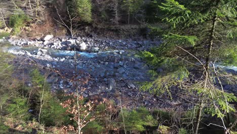 Drone-flying-along-forest-with-River-in-Background