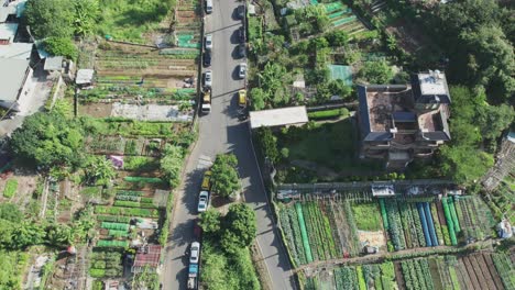 Drone-Flying-Over-Agriculture-Farm-Land-Plots-of-Vegetables-in-Zhuwei,-Taipei