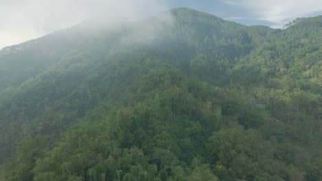 Dramatic-drone-shot-of-rainforest-on-the-hill-in-misty-morning