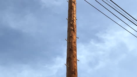 Viejo-Poste-Eléctrico-De-Madera-En-Madera-Marrón