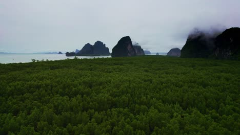 Tiro-Bajo-Con-Plataforma-Rodante-Sobre-Manglares-Verdes-En-La-Bahía-De-Phang-Nga-Con-Islas-De-Piedra-Caliza-Cubiertas-De-Nubes-Bajas,-Tailandia