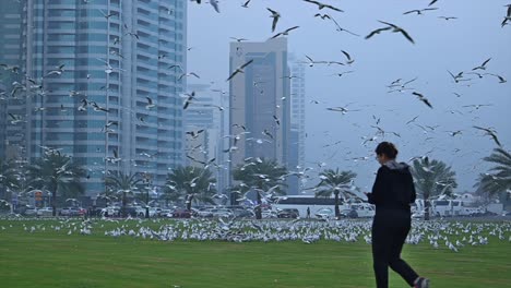 On-February-24,-2024,-Migratory-birds-on-a-misty-winter-morning-in-Sharjah,-United-Arab-Emirates