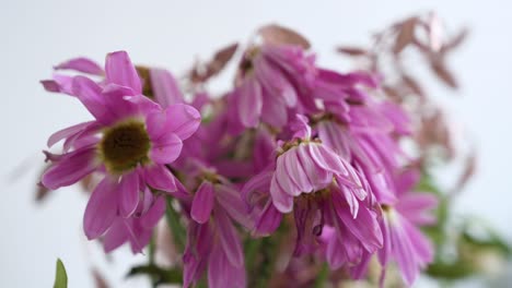 Vista-Cercana-De-Una-Boutique-Que-Presenta-Una-Variedad-De-Flores-Rosadas-Marchitas,-Podridas-Y-Secas