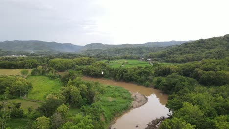 Vista-Aérea,-Agua-Turbia-Del-Río-En-Una-Zona-Forestal-En-El-País-Tropical,-Indonesia
