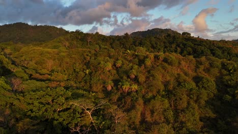 Imágenes-Aéreas-De-Drones-De-Jaco-Costa-Rica-Selva-Costa-árboles-Selva-Centroamérica