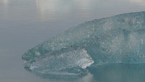 Primer-Plano-De-Glaciares-Flotando-En-Las-Aguas-Heladas-De-La-Laguna-Glaciar-Jökulsárlón-En-Islandia