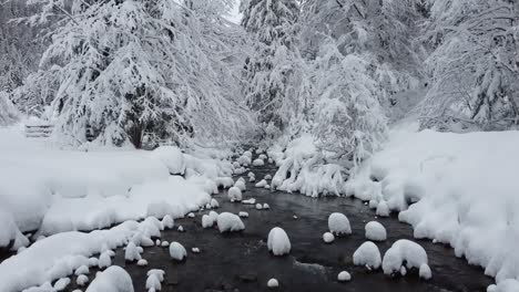 Podest-Hinauf-Vom-Kalten-Fluss-Zu-Schneebedeckten-Bäumen