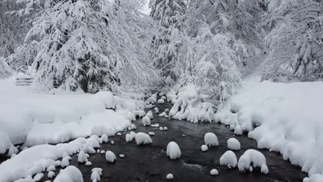 Pedestal-up-from-cold-river-to-snowy-trees