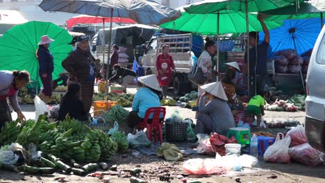 Ladies-wearing-traditional-Vietnamese-hats-are-seated-on-the-ground,-presenting-their-vegetables-and-other-produce,-surrounded-by-shoppers