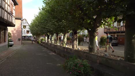 Arces-En-La-Encantadora-Ciudad-De-Bergheim-En-El-Este-De-Francia