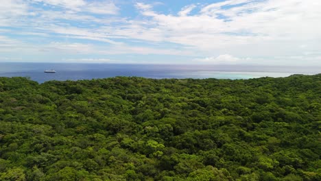 Drone-Volando-Sobre-El-Bosque-De-La-Isla-Con-Un-Recorrido-En-Crucero-En-El-Fondo-Anclado
