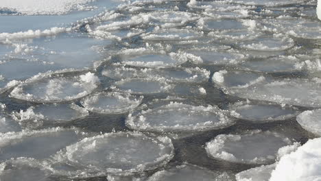Runde-Pfannkuchen-Aus-Eis-Schaukeln-Auf-Der-Oberfläche-Des-Ostseewassers-Im-Winter