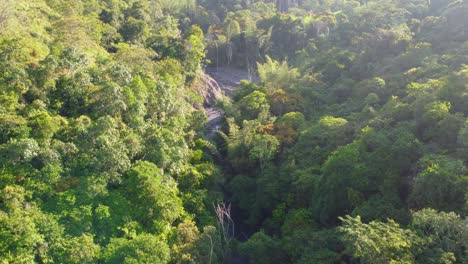 Aerial-shot-of-a-lush-green-forest-canopy-with-a-hidden-waterfall,-sunlight-dappling-through-the-leaves