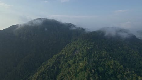 Drone-Vuela-Sobre-El-Paisaje-Verde-De-La-Selva-Tropical-En-La-Cordillera