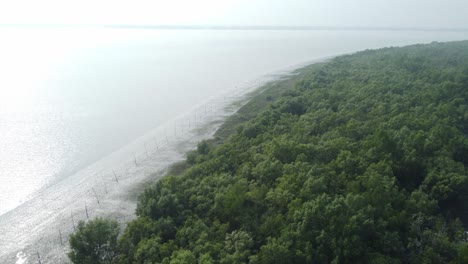 Vista-Aérea-De-Sundarban,-Que-Es-Uno-De-Los-Bosques-De-Reserva-De-Tigres-Más-Grandes-De-Asia.